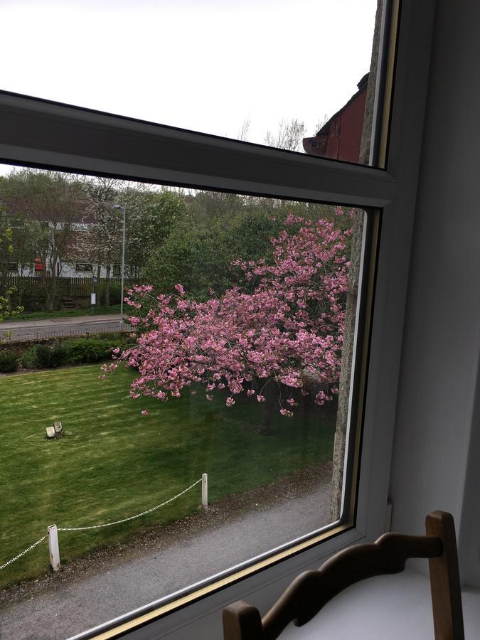 Linsmohr Hotel Pitmedden エクステリア 写真